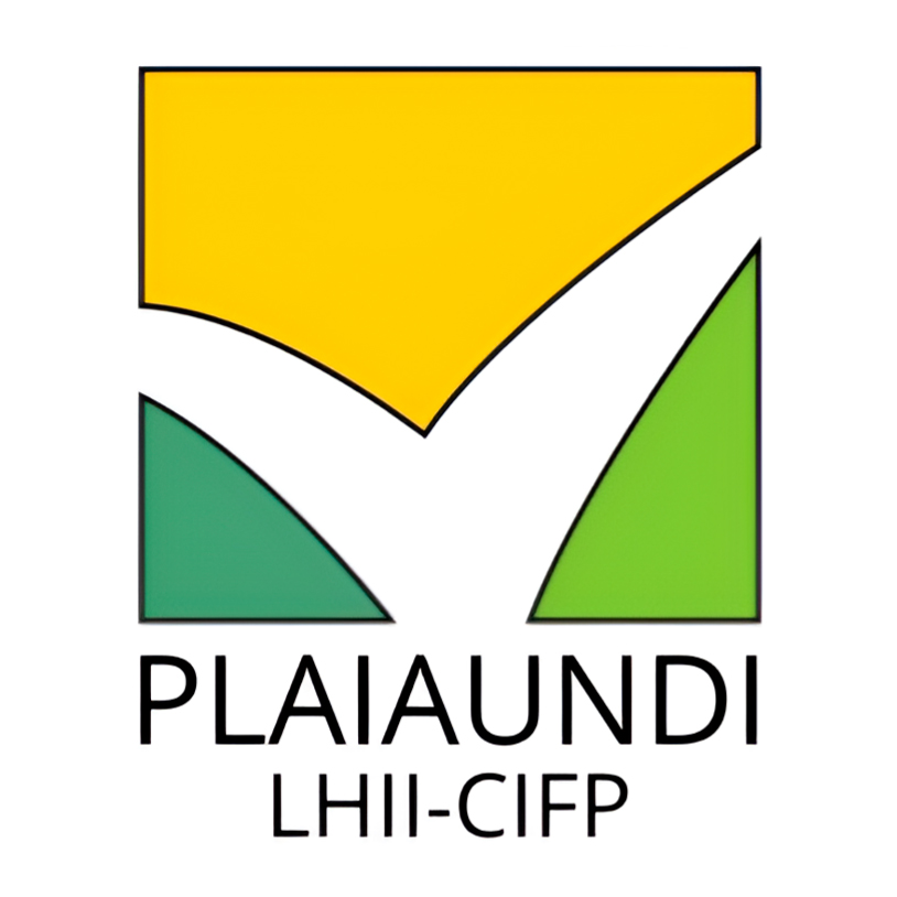 Plaiaundi Logo Bertikala